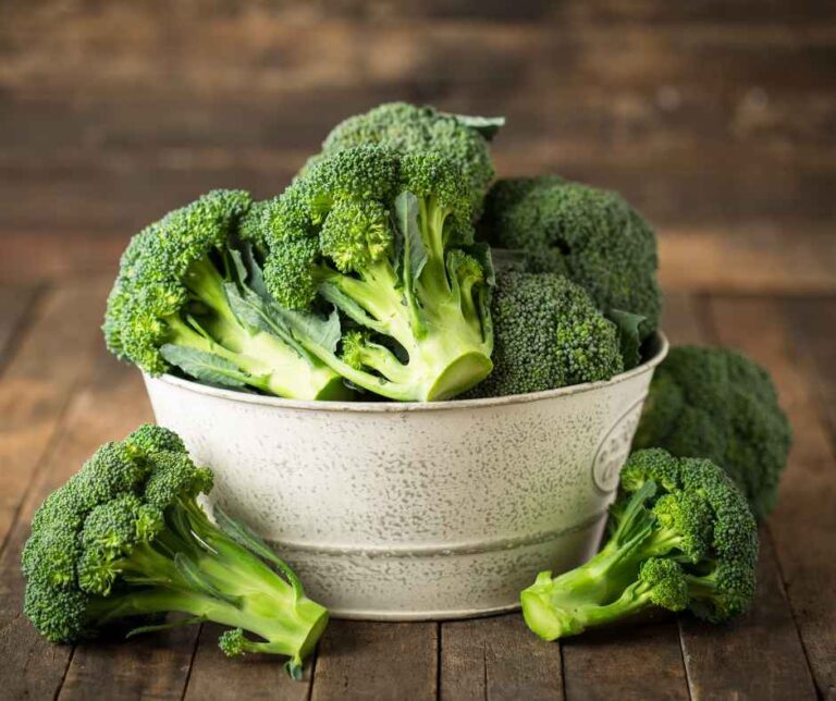 Broccoli Nutrition Guide: Calories, Carbs, Protein, Fiber & Health Benefits