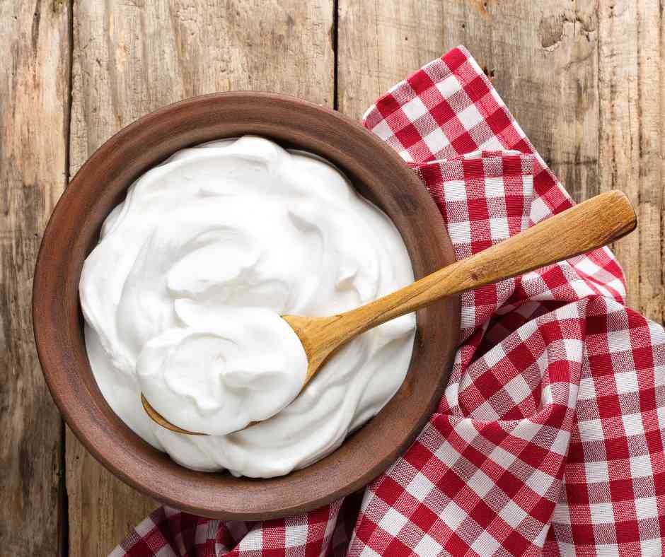 Dairy Free Yogurt