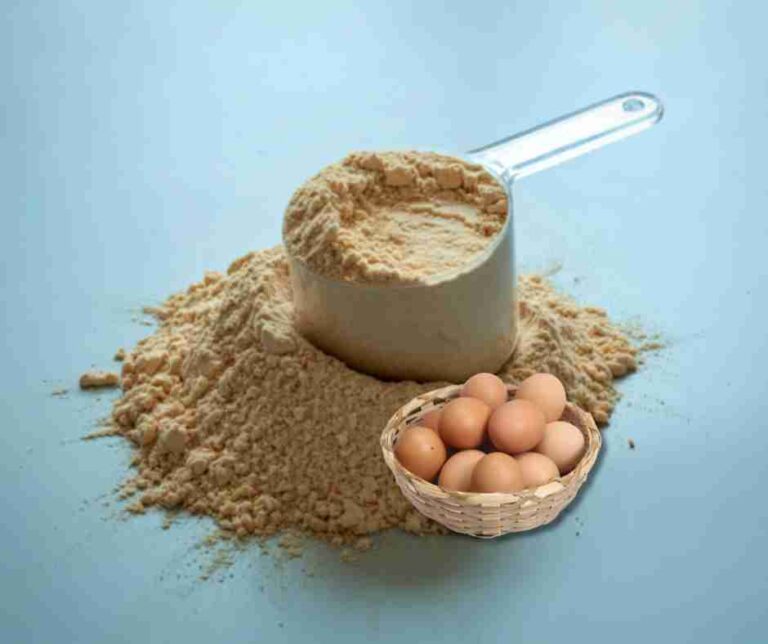 Egg Protein Powder: Benefits, Uses, Best Brands & Whey Comparison