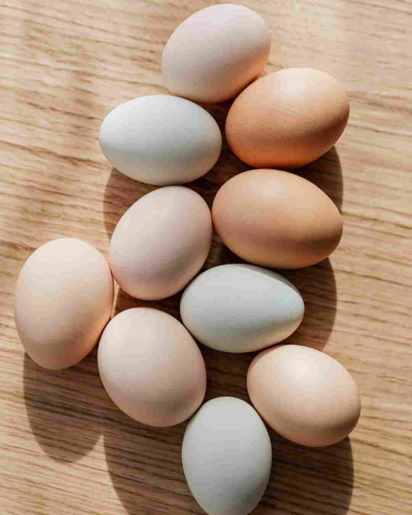 brown eggs vs white eggs which is healthier