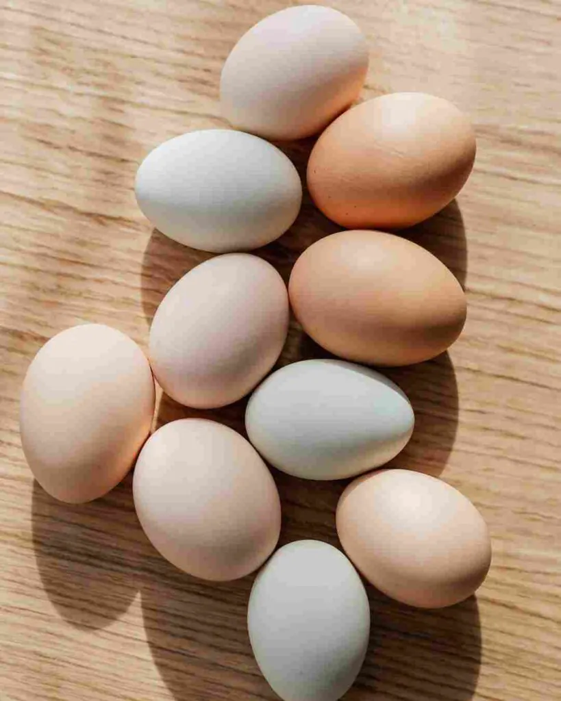 brown eggs vs white eggs which is healthier