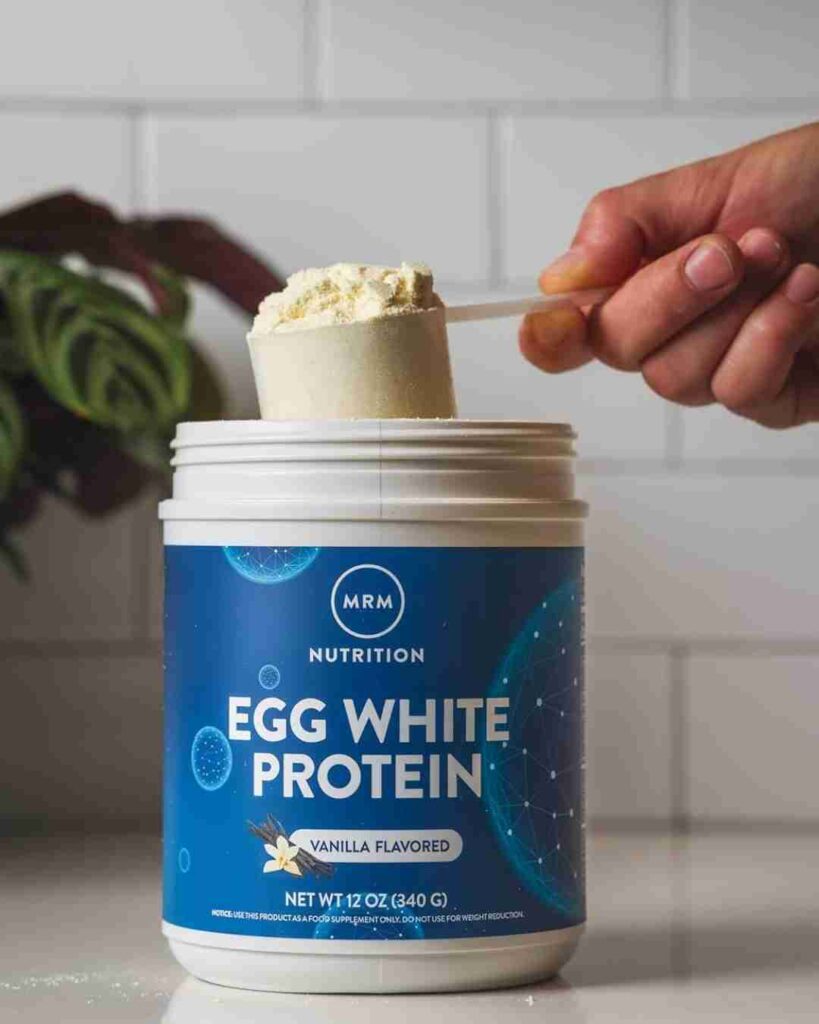 egg protein powder benefits