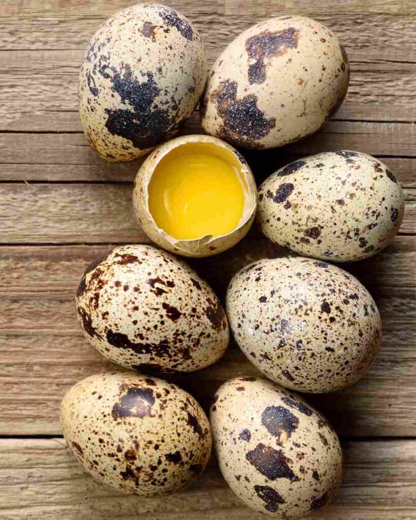 protein in quail eggs vs chicken eggs