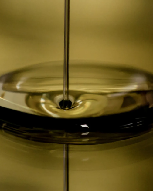  what fish oil does for men in the gym