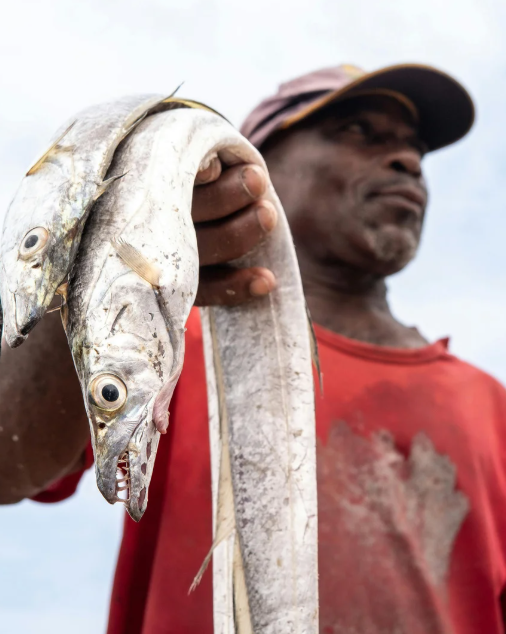 fish oil supplements daily