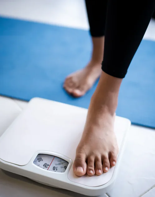 Fat-Burning Process in Humans
